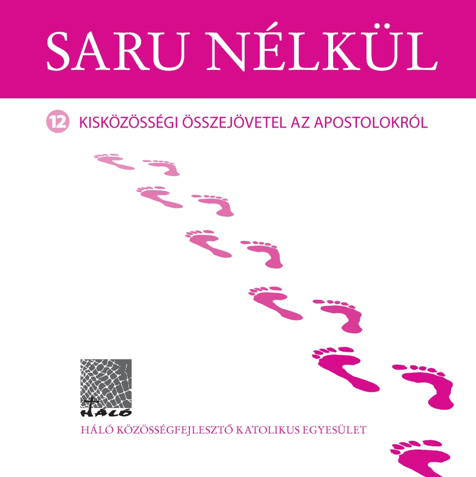 saru nelkul 1